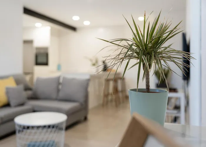 El Rincon House Tenerife Tijoco アデヘ